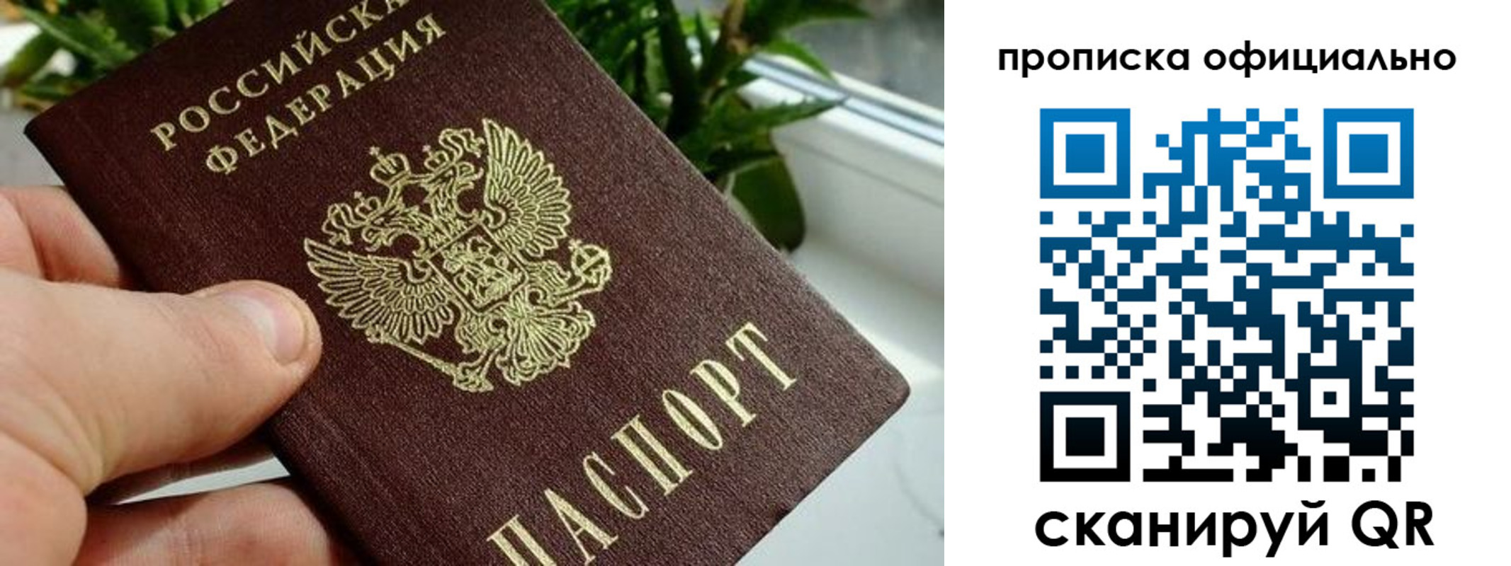 прописка поиск в Шумихе